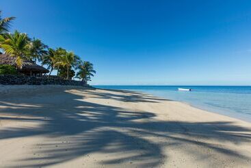 استراحتگاه Castaway Island, Fiji