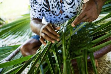 استراحتگاه Castaway Island, Fiji
