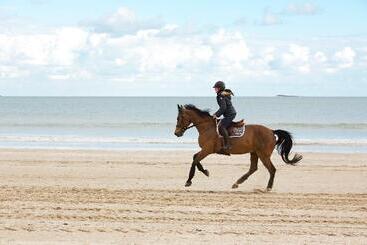 هتل Barriere Le Royal La Baule