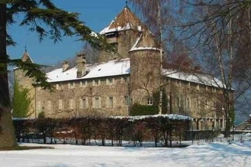 هتل Château De Coudrée