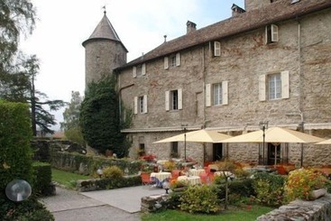 هتل Château De Coudrée