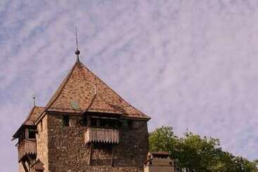 هتل Château De Coudrée