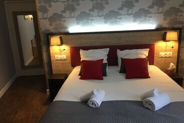 هتل Hôtel Saint Albert