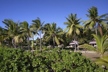 Musket Cove Island Resort