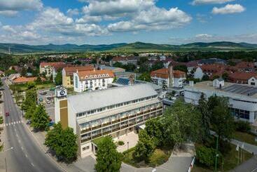 هتل Bodrog Wellness & Elix Spa