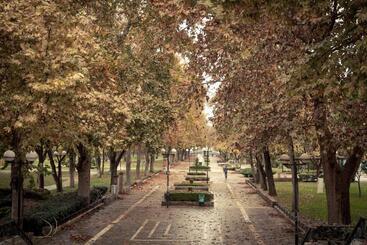هتل Park