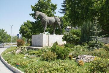 هتل Park
