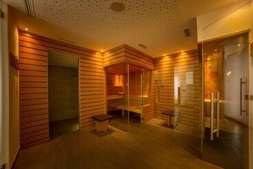 Dominik Alpine City Wellness Hotel   Adults Only