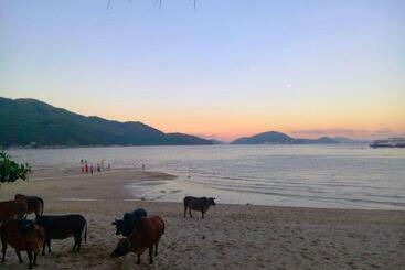 هتل Silvermine Beach Resort