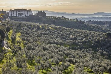 هتل Tenuta Di Artimino Member Of Meliá Collection Wine Resort