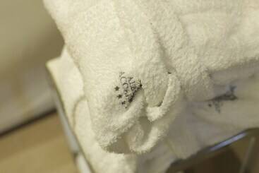 هتل Albergo Accademia