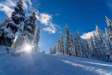 هتل Savoy Sestriere