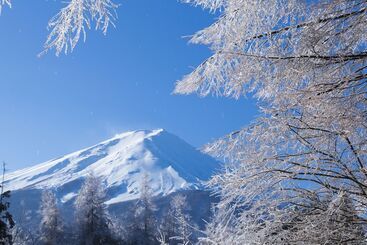 Hotel Fuji View