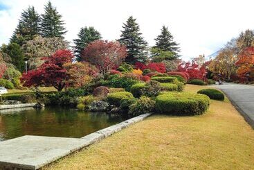 هتل Fuji View
