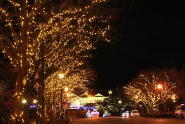 هتل Hakodate Kokusai