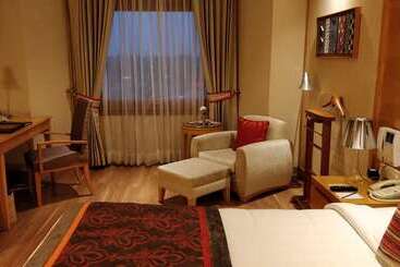 هتل Jaypee Vasant Continental