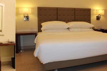 هتل The Hans, New Delhi