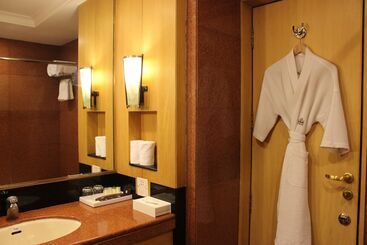 هتل The Hans, New Delhi