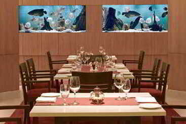 酒店 Trident Chennai