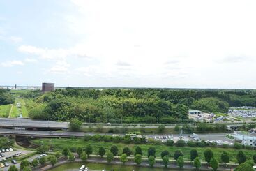 هتل Ana Crowne Plaza Narita, An Ihg