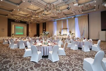 هتل Ana Crowne Plaza Narita, An Ihg
