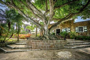 هتل Montpelier Plantation & Beach