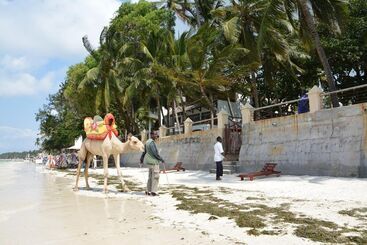 هتل Neptune Beach Resort   All Inclusive