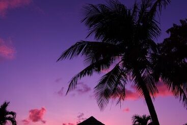 هتل Hyatt Regency Saipan