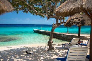 هتل Playa Azul Cozumel