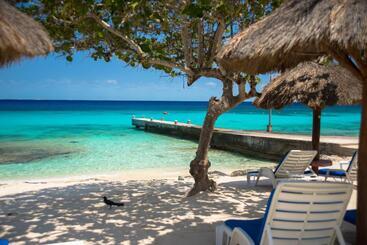 ホテル Playa Azul Cozumel
