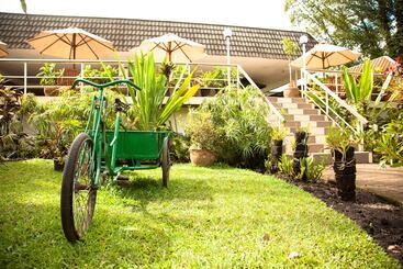 Bird Of Paradise Hotel & Apartments
