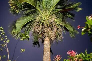 هتل Santo Vanuatu