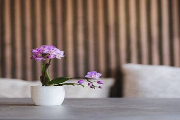 Vici Hotels