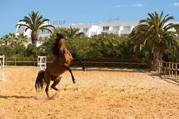 هتل Le Sultan