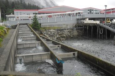 Alaskan Hotel And Bar