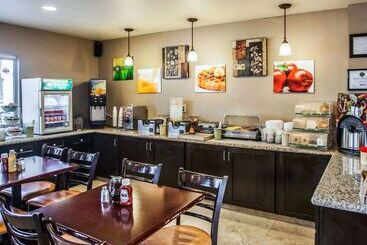 هتل Quality Inn & Suites Anaheim At The Park