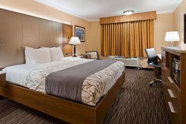 Best Western Airpark Hotel   Los Angeles Lax Airport