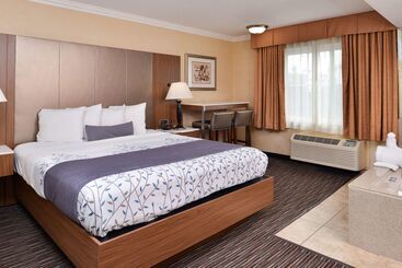 Best Western Airpark Hotel   Los Angeles Lax Airport