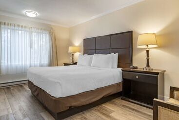 هتل Best Western Carmels Town House Lodge