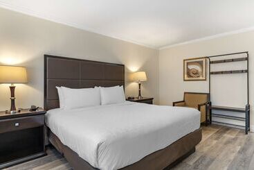 هتل Best Western Carmels Town House Lodge