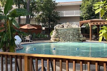 בית מלון כפרי Best Western Inn Of The Ozarks