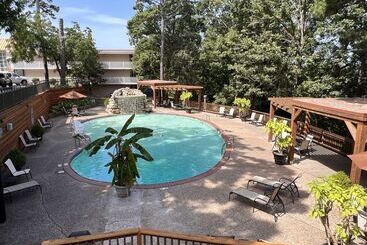 בית מלון כפרי Best Western Inn Of The Ozarks