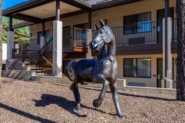 هتل Best Western Paint Pony Lodge
