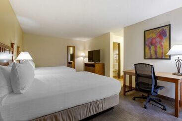 هتل Best Western Paint Pony Lodge
