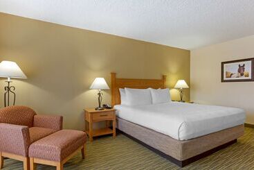 هتل Best Western Paint Pony Lodge