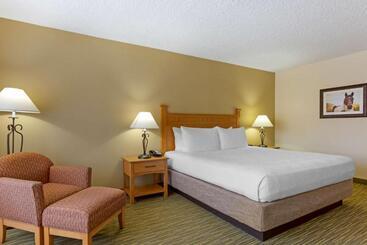 هتل Best Western Paint Pony Lodge