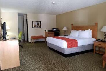 هتل Best Western Paint Pony Lodge