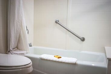 Best Western Plus Dubuque Hotel And Conference Center