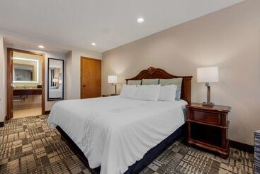 Best Western Plus Dubuque Hotel And Conference Center