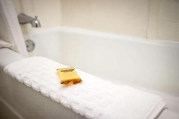 Best Western Plus Dubuque Hotel And Conference Center